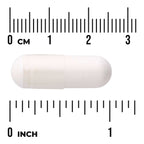 N-Acetyl D-Glucosamine