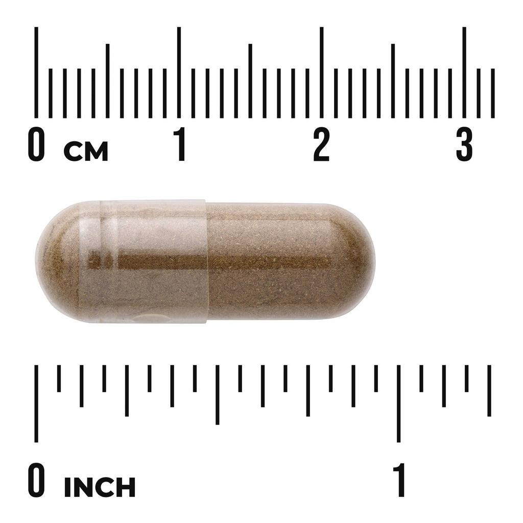 Celery Seed - Maximum Strength
