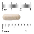 Yacon Root Extract - Featuring Yacontrol