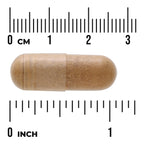 Multi-Glandular For Women
