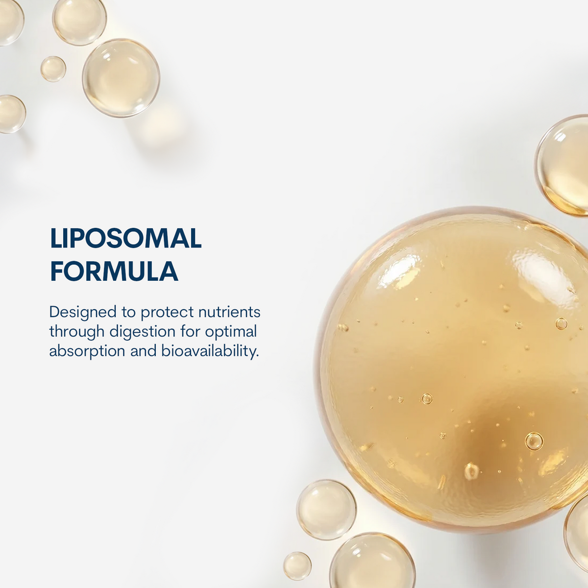 Liposomal Sleep Formula - Liquid Spray (1 FL OZ/ 30 Servings)