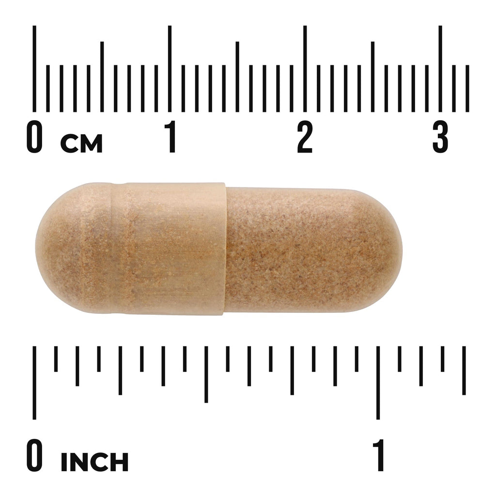 Ginkgo Biloba Extract - Standardized
