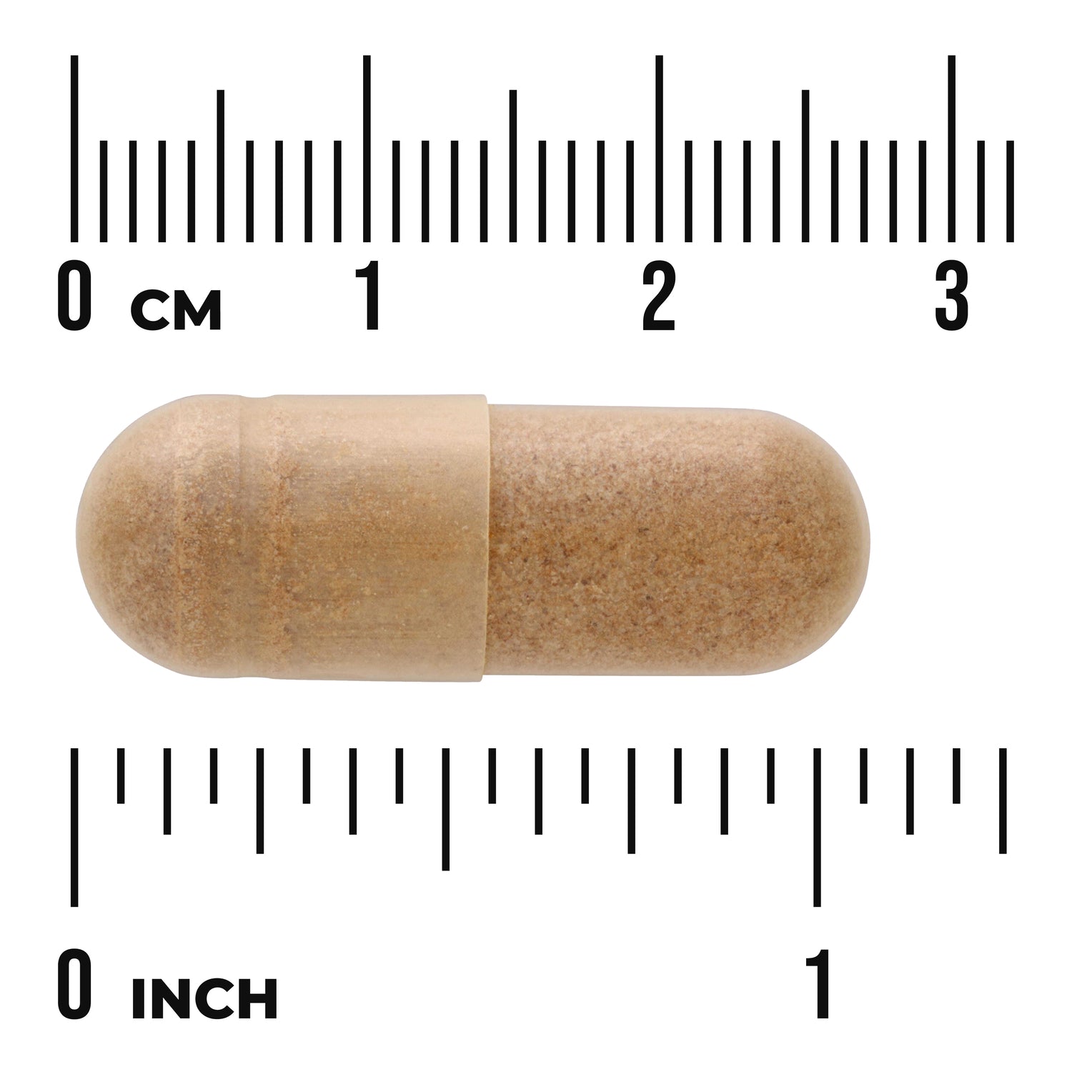 Ginkgo Biloba Extract - Standardized