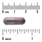 Bilberry Extract - Standardized