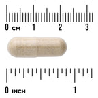 Bitter Melon Featuring Momordicin