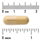 Full Spectrum Ginger & Turmeric - 2-in-1 Formula