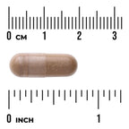 Resveratrol Complex