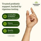 Lactobacillus Acidophilus