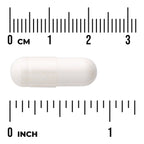 Prebiotic Jerusalem Artichoke - 90% Inulin