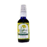 Dandelion Dynamo Oil2 Ozflower Essence Services