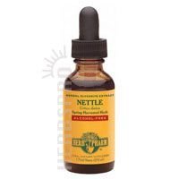 Nettle Glycerite A/F