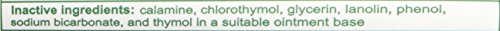 Calmoseptine Antiseptic Ointment 4 oz (Pack of 12)