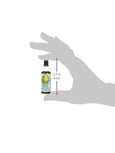 Flower Essence Services Gorse Dropper, 0.25 Ounce
