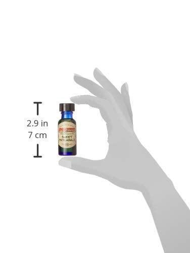 Sweet Patchouli - Wildberry Scented Oil - 1/2 Ounce Bottle