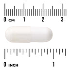 Albion Calcium & Magnesium