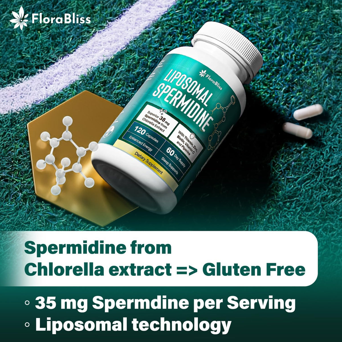 Spermidine Supplement from Chlorella with Thiamin, Zinc, Biotin, & Vitamin C | 120 Capsules | Gluten-Free for Cellular Renewal, Healthy Aging & Vitality Support | 60-Day Supply