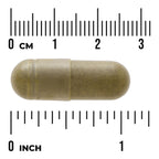 Full Spectrum Moringa Oleifera