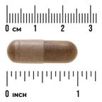 DGL Deglycyrrhizinated Licorice Root Extract - Higher Strength