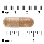 BioDefense NK+ - Mushroom Blend