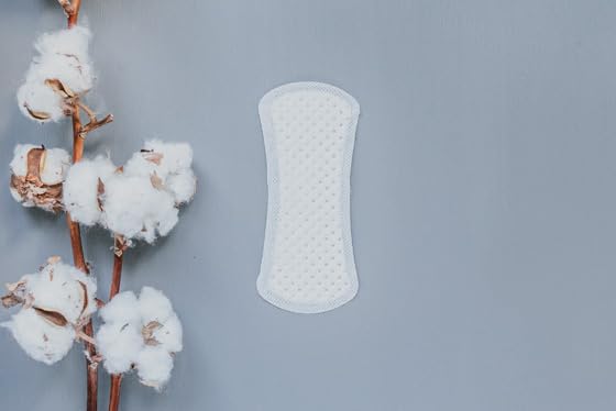 Natracare Natural Organic Cotton Curved Panty Liners for Sensitive Skin, Shaped for Extraordinary Everyday Comfort, 30 Liners Pe