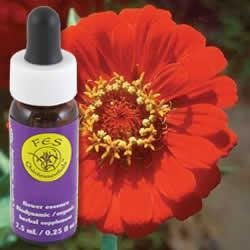 Flower Essence Services Zinnia 0.25oz flower essence