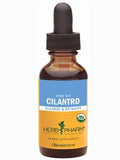 Cilantro Extract