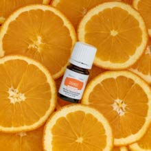 Young Living Vitality Orange Essential Oil 5ml Bottle - Zesty and Refreshing Citrus Flavor - 100% Pure and Natural - Cold-Presse