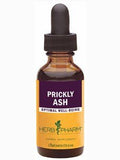 Prickly Ash