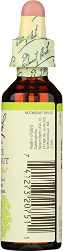 Bach, Bach Original Flower Remedies White Chestnut, 0.68 Fl Oz