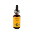 Celery Seed