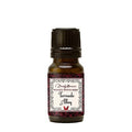 Tornado Alley', Wicked Witch Mojo Oil
