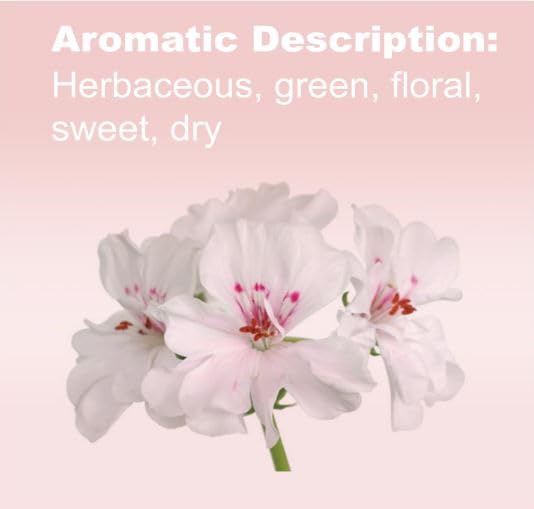 doTERRA Geranium Essential Oil - 15 mL