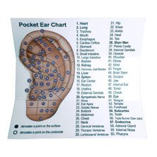 Dual Head Tip Acupuncture Ear and Body Point Probe Pocket Ear Chart and Pouch