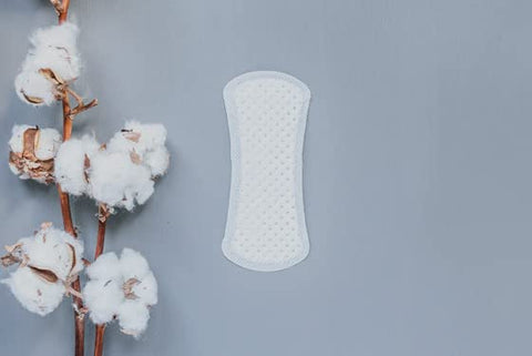 Panty Liners Curved 30ct - Panty Liner ( Pack of 3)