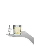 Aroma Naturals Wish Holiday Square Glass Soy Candle, Peppermint and Vanilla, 6.8 Ounce