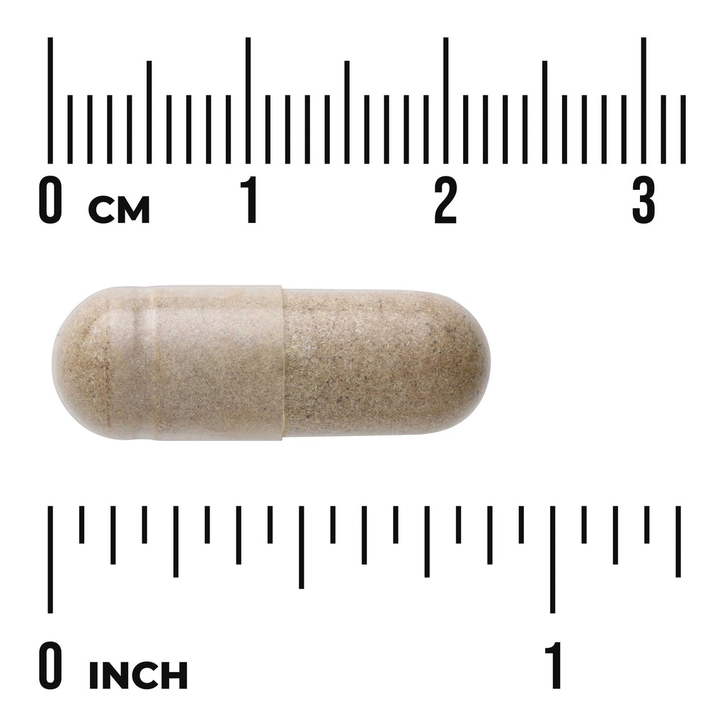 Echinacea - Standardized