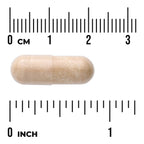 Horse Chestnut Extract - Standardized