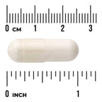 Full Spectrum Boswellia - Double Strength