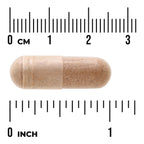 Salacia Oblonga Concentrated 20:1 Extract