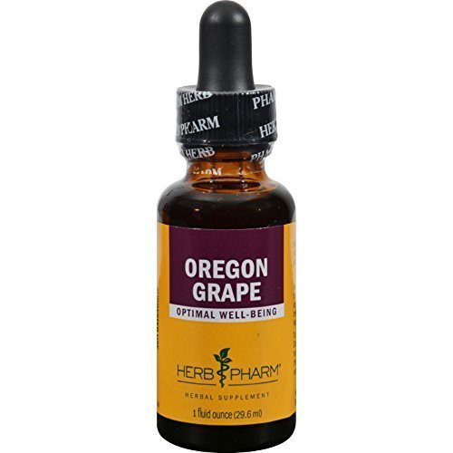 Oregon Grape