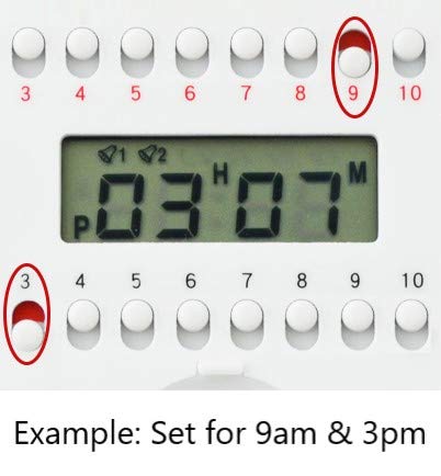 e-Pill 4 Times a Day x 7 Day Weekly Pill Organizer, Vitamin and Medicine Pill Box Reminder - with Timer