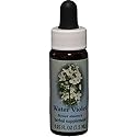 Water Violet Essence 7.40 Milliliters