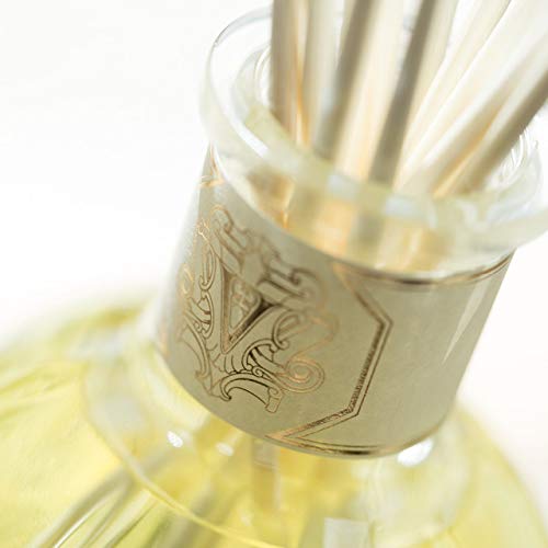 Dr. Vranjes Ginger & Lime Diffuser 250ml