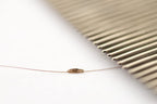 Nit Free Terminator Lice Comb - Professional Stainless Steel Comb for Effective Head Lice Treatment (Color May Vary) (Pack of 1)