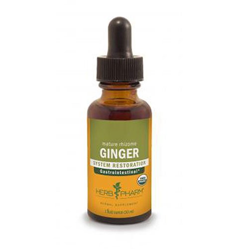 Ginger