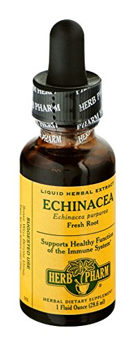 Herb Pharm Certified Organic Echinacea Root Extract for Immune System Support - 1 Ounce(Pack of 12)