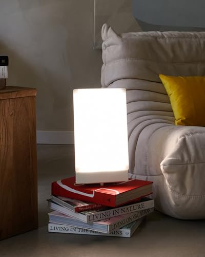 Northern Light Technology Travelite 10,000 Lux Bright Light Therapy Portable Light Box, Beige