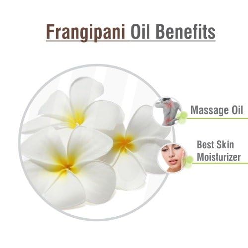 Crysalis Frangipani (Plumeria alba) Oil - 0.51 Fl Oz (15ml)