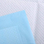 Platinum Care Pads Disposable Underpad, Blue (Chux) (17 Inches X 24 Inches 300 Per Case)