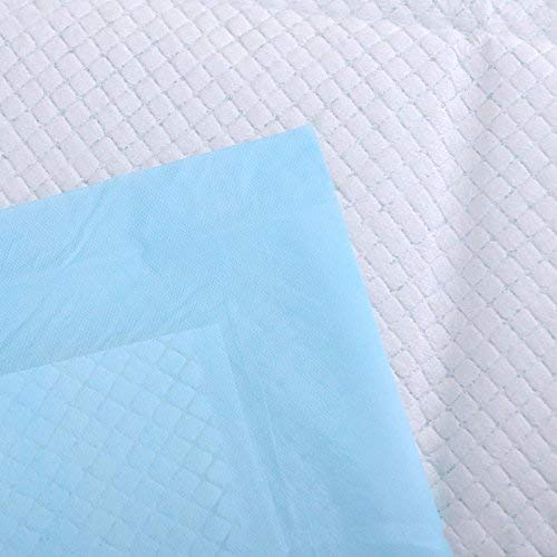Platinum Care Pads Disposable Underpad, Blue (Chux) (17 Inches X 24 Inches 300 Per Case)